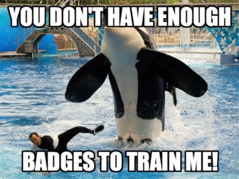 YOU DON'T HAVE ENOUGH BADGES TO TRAIN ME! .